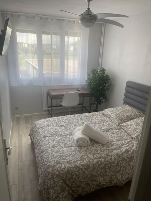 Appartement Entier Climatise - Parking Prive Saint-Martin-dʼHères Buitenkant foto